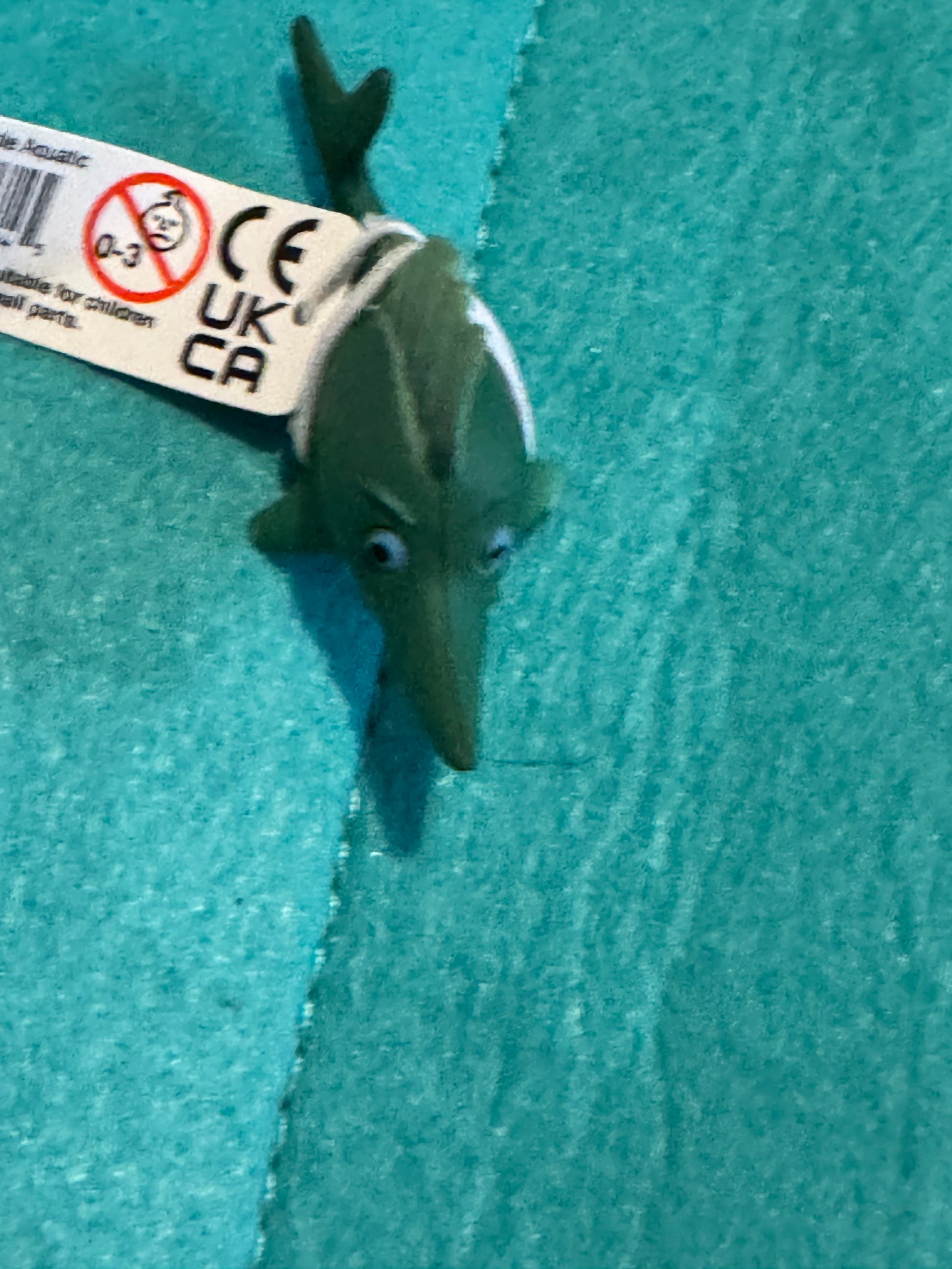 Sea life Creatures